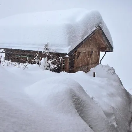 아파트 Peintnerhof