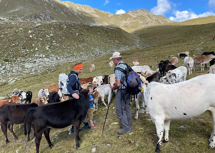 Peintnerhof Innervillgraten